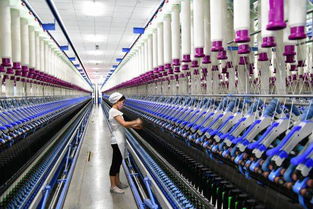 紡織品遮篷能否成為第七類直銷產品？獨立市場的新猜想